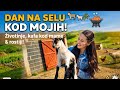 Dan na selu 🌿 Životinje, kafa kod mame i roštilj👌