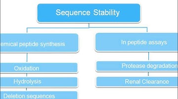 Peptide Design Strategy  Basics, Optimization, and Application