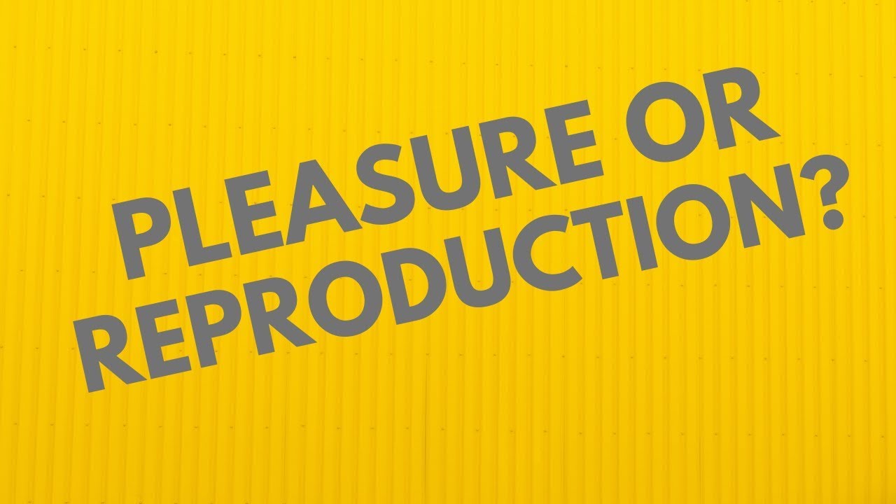Can Sex Be For Pleasure, Not Just Reproduction? - Your Questions, Honest Answers Can Sex Be For Pleasure, Not Just Reproduction? - Your Questions, Honest Answers