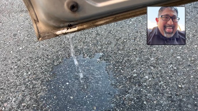 Si te entra agua en el coche cuando llueve, estas juntas de goma para las  puertas son la solución - Periodismo del Motor