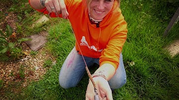 How to bait up a sandeel tutorial