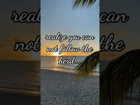 Follow your bliss..