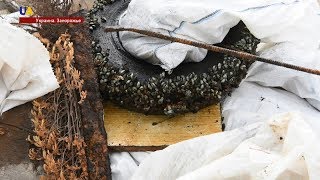 Чистят Днепр Чистят Днепр