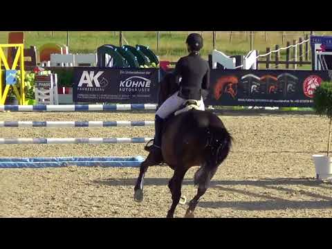 Springreiten Alexandra Obermeier auf Reyman K. Stilspr. L