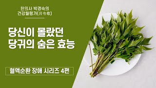 당귀에 관해 당신이 몰랐던 숨은 효능들