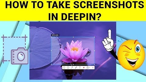HOW TO TAKE SCREENSHOTS IN DEEPIN?