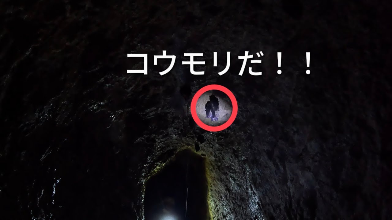 洞窟で宝石かもしれない石を見つけました