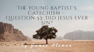 Question 53: Did Jesus Ever Sin