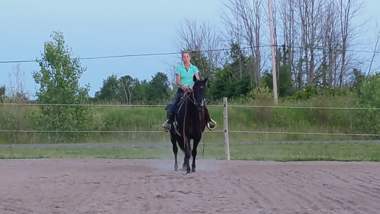 2-Gait Pattern 1, Crystal Derry & Black Rose River