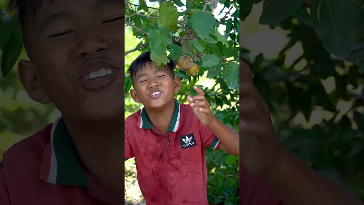 Outdoorfood WOW NEW IDEA UNLOCKED Found Fruit In Forest 