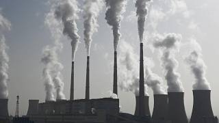CO2 Emissions probably Peaked this Year