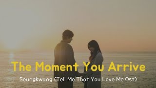 Seungkwang(승관) SEVENTEEN -  The Moment You Arrive(그대가 오면), Tell Me That You Love Me OST |Han/Eng/Rom