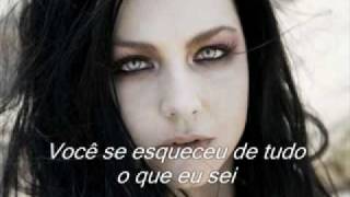 Taking Over Me-Evanescence (Tradução) chords