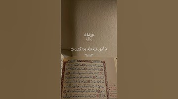 سورة المسد…كاملة استمع بخشوع |#قرآن #تلاوة_خاشعة #سعد_الغامدي #راحة_نفسية #تابعوني #اكسبلور #لايك