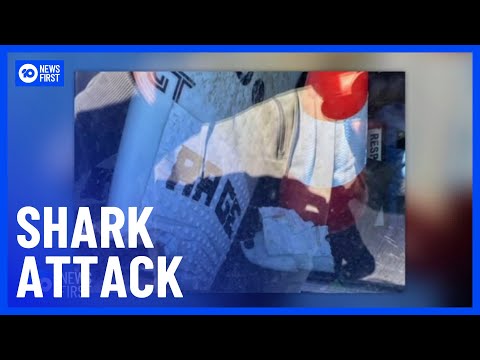 Shark Mauls Surfer