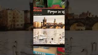 A fun rainy day activity! | Panoramic Puzzles at Dollar Tree