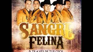 Video thumbnail of "SANGRE FELINA "EL PAYASO""