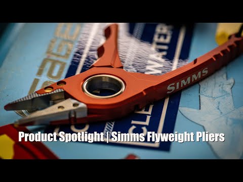 Product Spotlight |