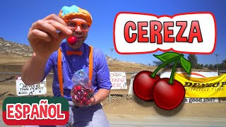 Blippi visita un granja de cerezas | Nuevo Video! | Videos Educativos para Niños