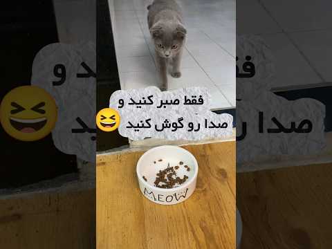 آخرش چه صدای خرچ خرچی میده