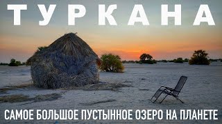 видео: ТУРКАНА САМОЕ БОЛЬШОЕ ПУСТЫННОЕ ОЗЕРО НА ПЛАНЕТЕ, РЫБАЦКИЕ ТРУЩОБЫ, ТУРИСТЫ ЗДЕСЬ БЫВАЮТ ОЧЕНЬ РЕДКО картинка: ТУРКАНА САМОЕ БОЛЬШОЕ ПУСТЫННОЕ ОЗЕРО НА ПЛАНЕТЕ, РЫБАЦКИЕ ТРУЩОБЫ, ТУРИСТЫ ЗДЕСЬ БЫВАЮТ ОЧЕНЬ РЕДКО