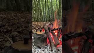 the sound of fire?bushcraft food nature camping cooking bbq outdoor diy camp forest fire