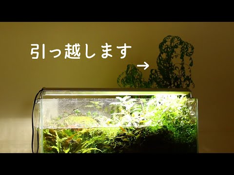不要な廃ソイルで伸びまくった水草を鉢植えに引っ越してもらう アクアリウム Youtube 不要な廃ソイルで伸びまくった水草を鉢植えに引っ越してもらう アクアリウム Youtube