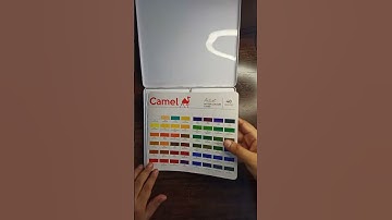 Unboxing Camel Artist Water Colour Cakes 🔥😱 #shorts #unboxing