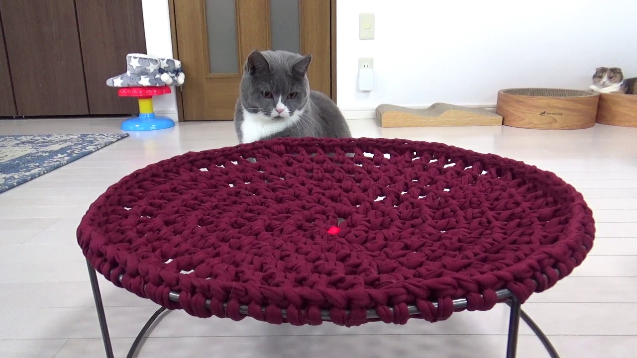 手編みのハンドメイド猫ベッドの上でくつろいで寝ちゃう猫がかわいい Youtube