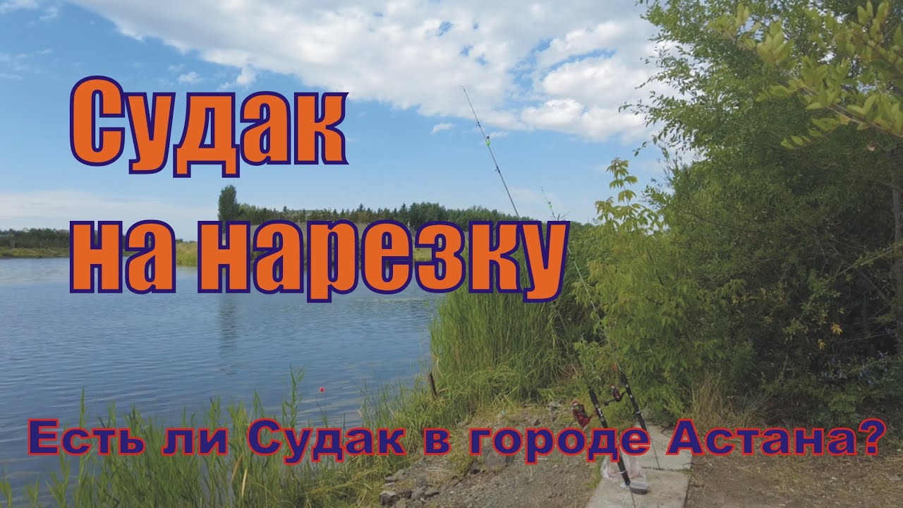 ЛОВЛЮ СУДАКА В ГОРОДЕ НА НАРЕЗКУ! Есть ли Судак в Астане на Ишиме ...