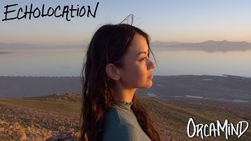 OrcaMind - Echolocation (Official Video) @michelleheafy @JosiahEverhart @donutdrums