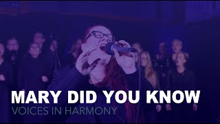 Mary Did You Know (Christmas live cover by Voices In Harmony, DK) 4K