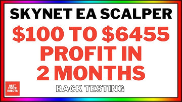 Skynet EA Scalper Forex MT4 Robot Back Testing