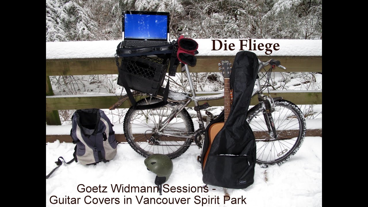 Die Fliege (mal anders) - Goetz Widmann Cover
