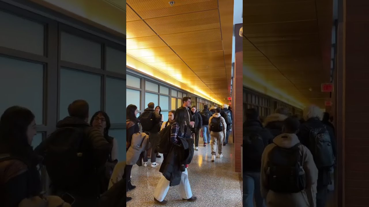 Wharton Without Trending Audio