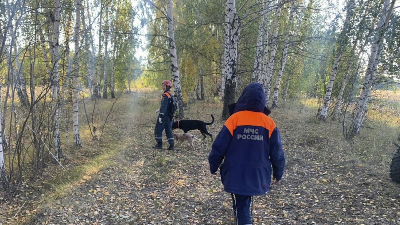 Заблудившихся в лесу женщин и ребенка спасли в Татарстане