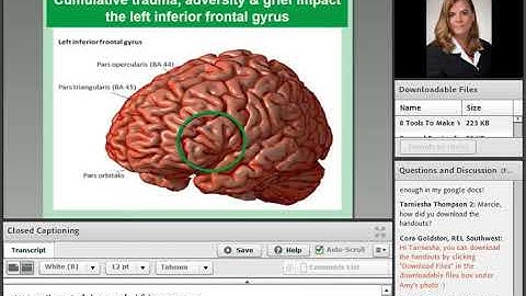 Research-Based, Trauma-Responsive Education Practices, Research Overview (REL Southwest)