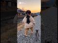 Such a Lovely Walk💕 Baby & Kitten👶🐱（赤ちゃん子猫のお散歩）