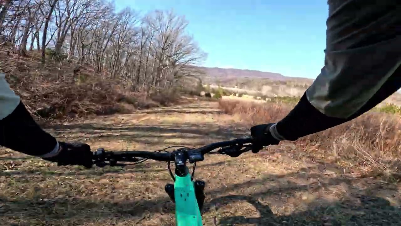 Shenandoah River #2 Feb 2026