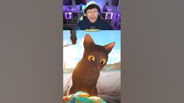 Why Flow Is One The Best Animated Movies Ever