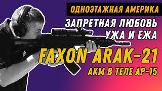 AR-15 вышла замуж за АКМ - ARAK-21