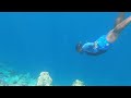 📍Snorkeling , Free Diving , Maldives 🇲🇻😍😍