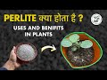 Correct way to use Perlite in plants in Hindi | How to use Perlite in your Garden Plants