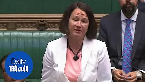 Catherine West asks government to condemn Aras Ami...