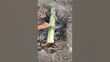 Cá lốc nướng bẹ chuối