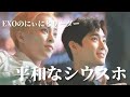 【EXO 日本語字幕】こんなに尊いのに何故かマニアック扱いされる長男コンビ【シウスホ】