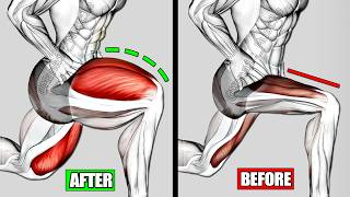 Best Quads Workout for Bigger Legs Fast (Revealed!)