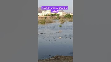 آيات بينات من كتاب الله العزيز الحكيم الغفور الرحيم #القرآن_الكريم #قران_كريم #كن_مع_الله_ولا_تبالي