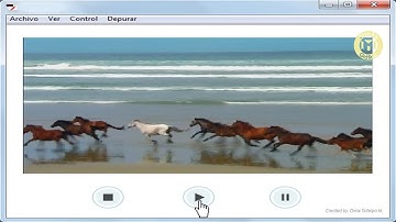 Cómo hacer un reproductor de video - Adobe Flash Professional CS6