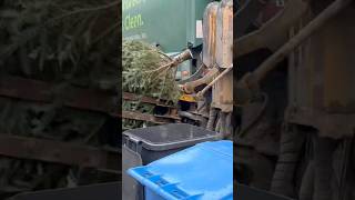 Garbage Truck VS Christmas Tree